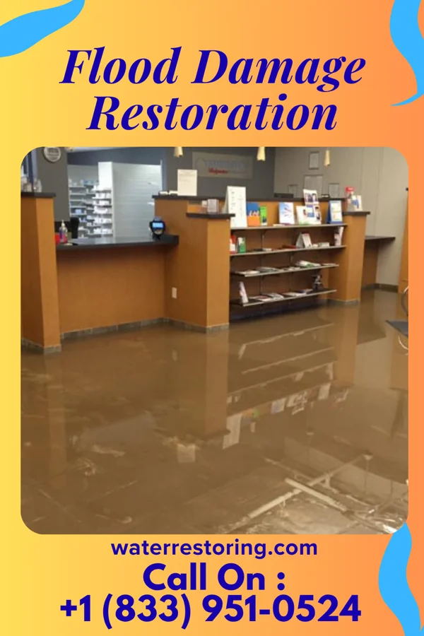 Flood Damage Restoration in Sugarmill Woods, FL